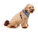 Thornbury - Aegean Blue - Harness by FuzzYard