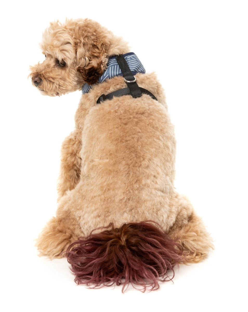 Thornbury - Aegean Blue - Harness by FuzzYard