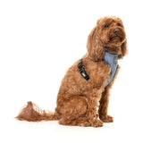 Thornbury - Aegean Blue - Harness by FuzzYard