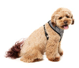 Fitzroy - Harness by FuzzYard