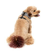 Fitzroy - Harness by FuzzYard