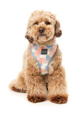 Yazd - Harness by FuzzYard