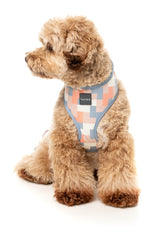 Yazd - Harness by FuzzYard