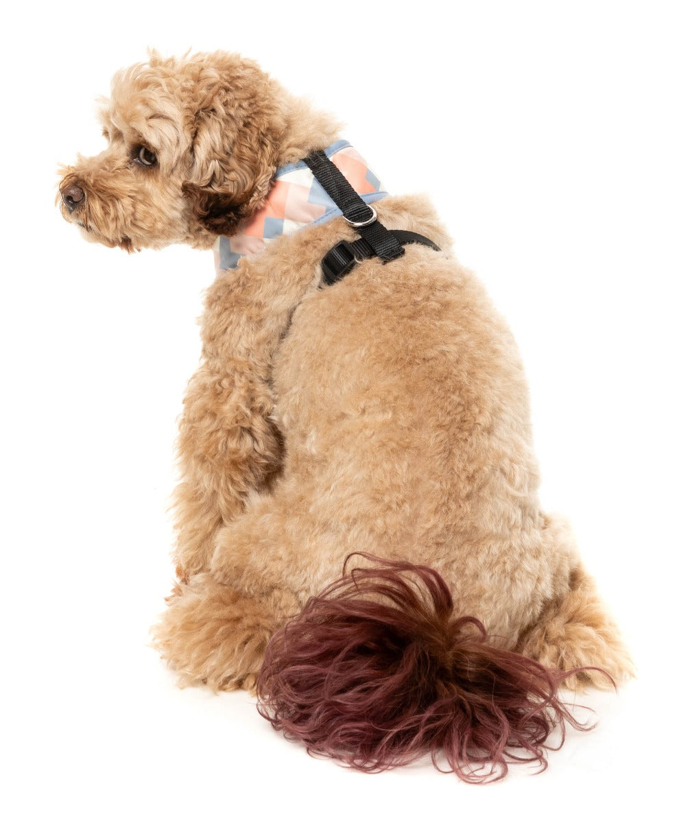 Yazd - Harness by FuzzYard