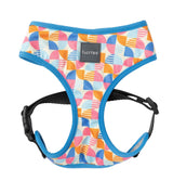 Fresh Zest - Harness by FuzzYard