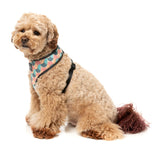 Carioca - Harness by FuzzYard