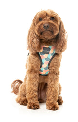 Carioca - Harness by FuzzYard