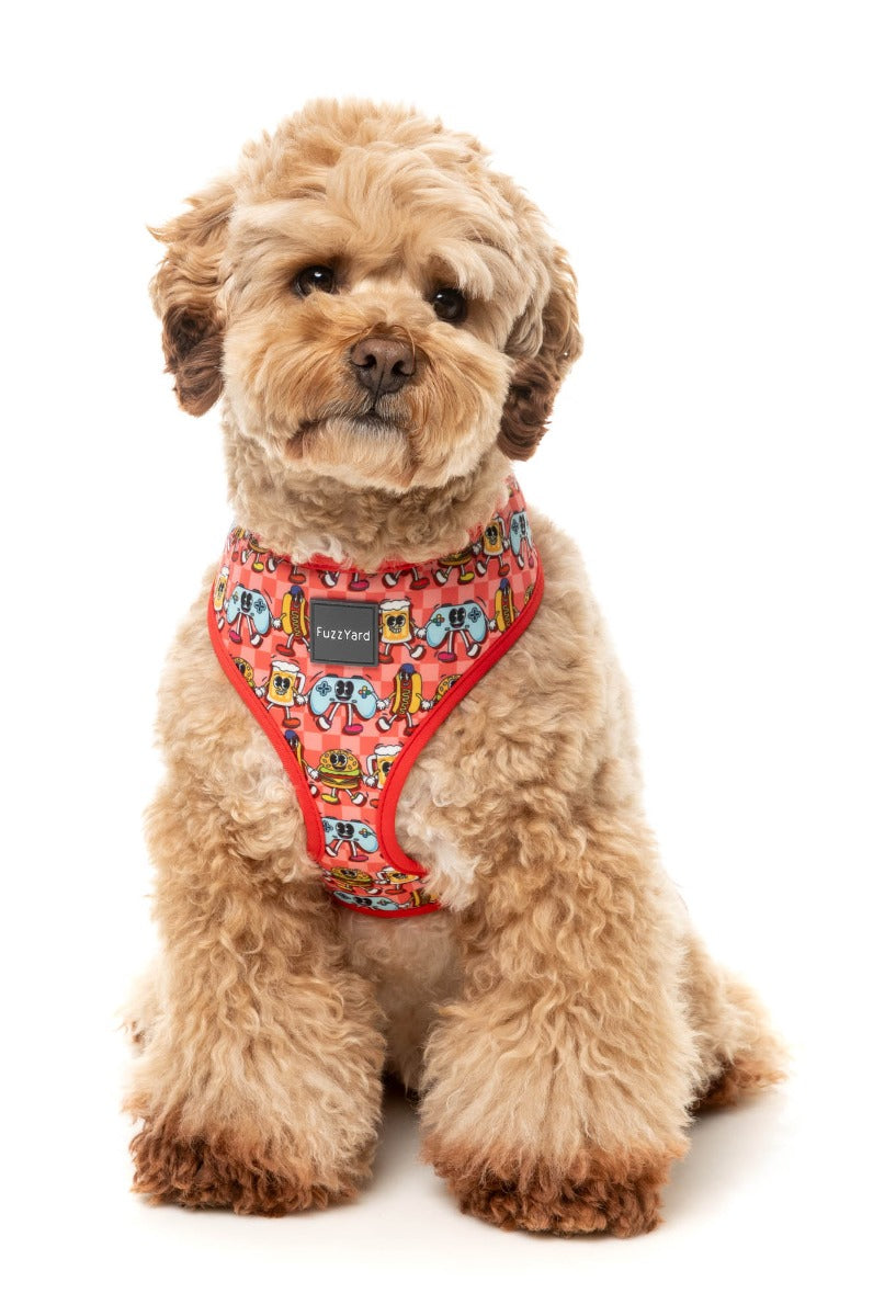 The Homies - Harness by FuzzYard