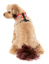 The Homies - Harness by FuzzYard