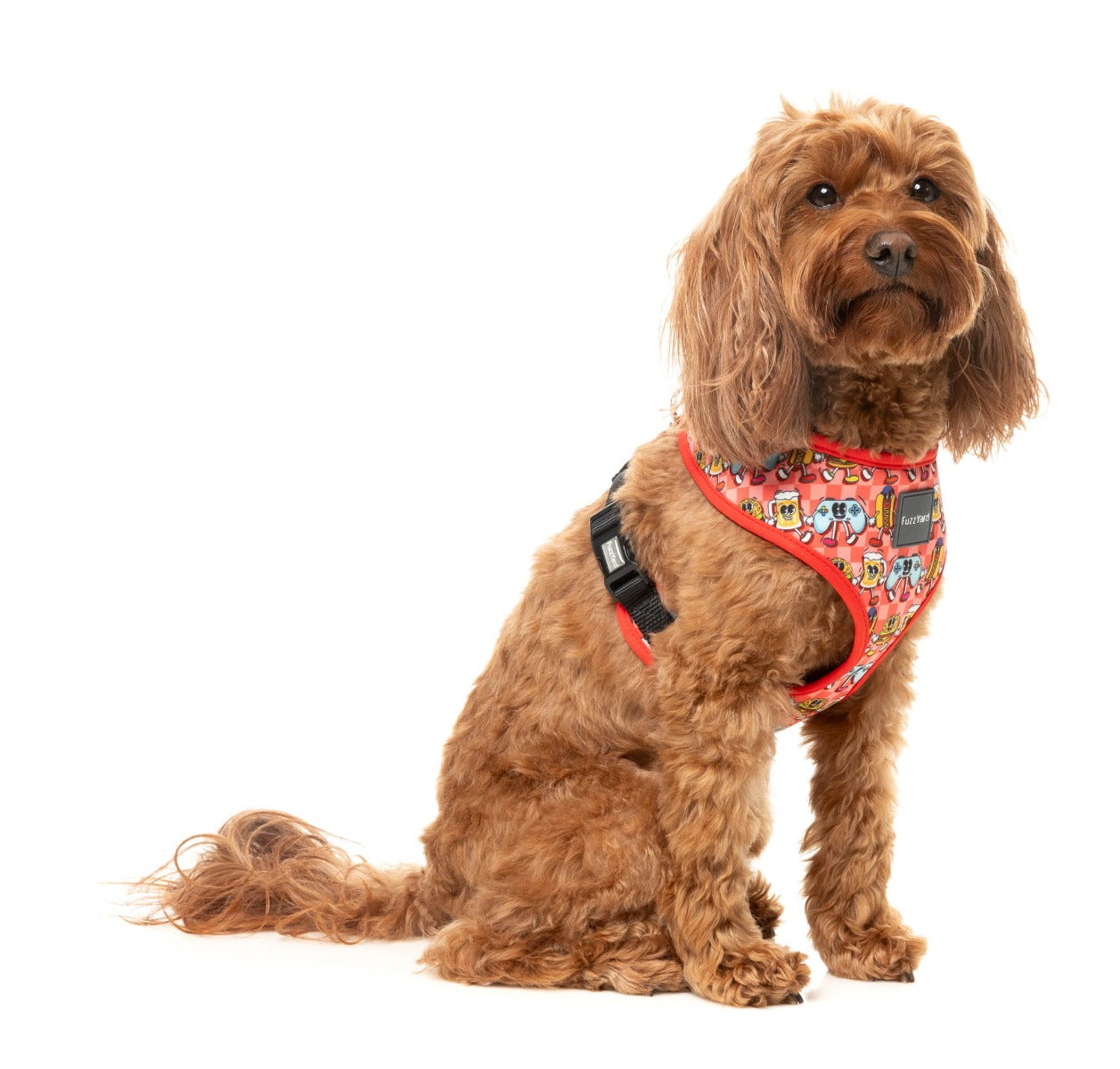 The Homies - Harness by FuzzYard