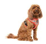 The Homies - Harness by FuzzYard