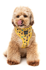 What the Duck - Harness by FuzzYard