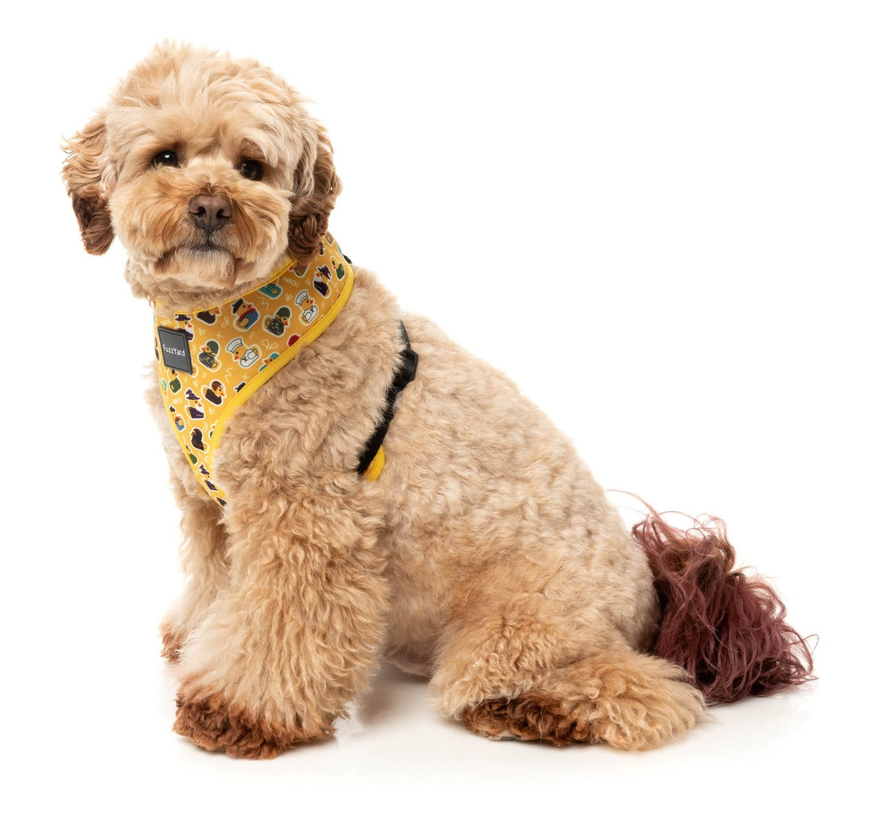 What the Duck - Harness by FuzzYard