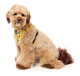 What the Duck - Harness by FuzzYard