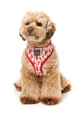 Meat Heads - Harness by FuzzYard