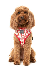 Meat Heads - Harness by FuzzYard