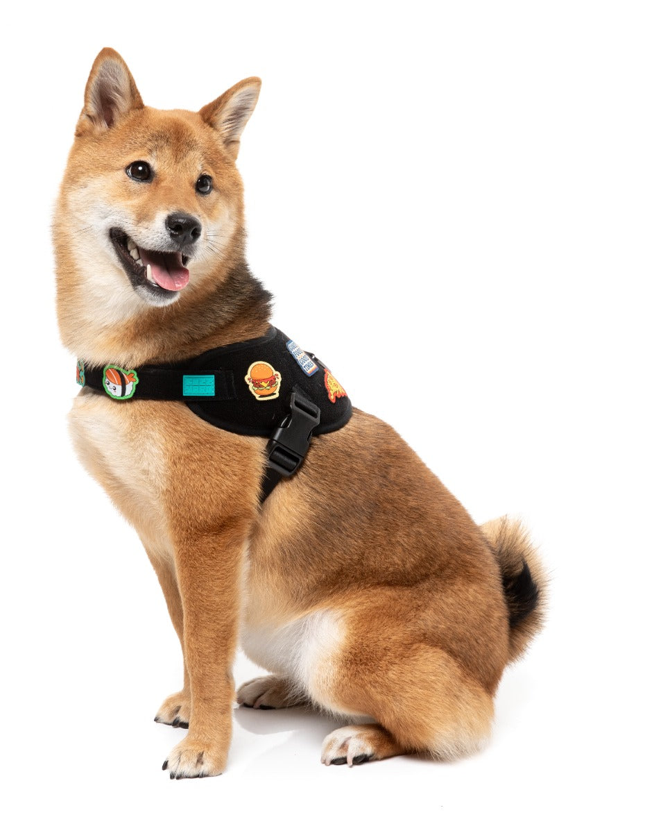 Rep It - Harness by FuzzYard