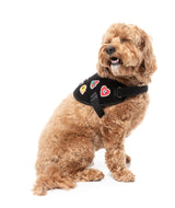 Rep It - Harness by FuzzYard