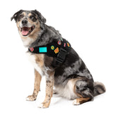 Rep It - Harness by FuzzYard