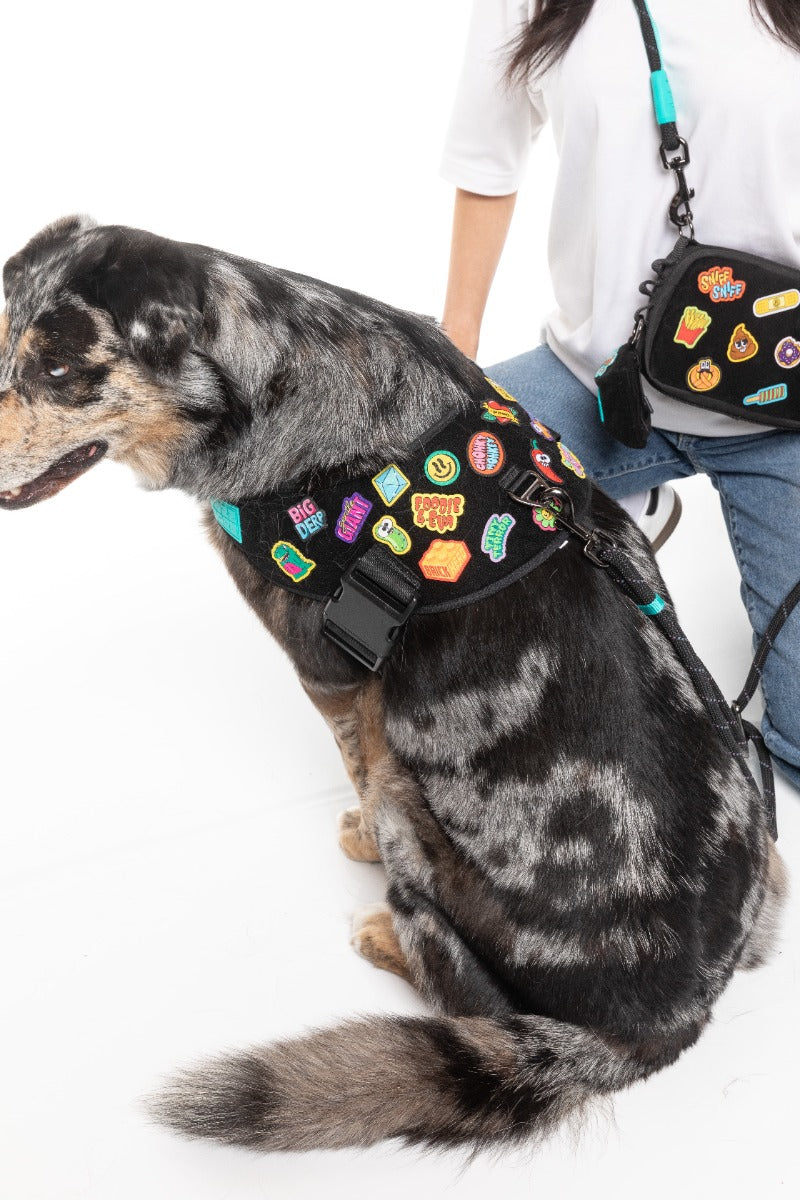 Rep It - Harness by FuzzYard