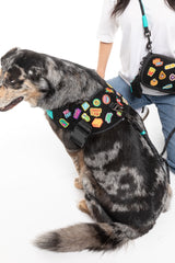 Rep It - Harness by FuzzYard