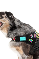 Rep It - Harness by FuzzYard