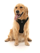 Go Harness - Black by FY Active