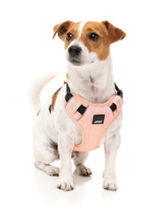 Go Harness - Peach by FY Active