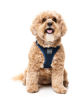 Marine Step In Harness by FuzzYard