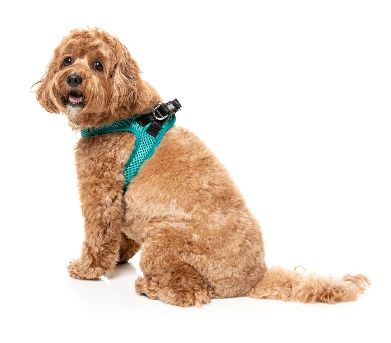 Lagoon Step In Harness by FuzzYard