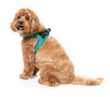 Lagoon Step In Harness by FuzzYard