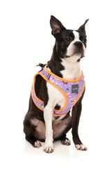 Aloha Dolphins - Pet Step In Harness by FuzzYard