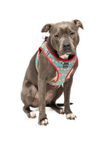 Disco Deers - Christmas Step In Harness by FuzzYard