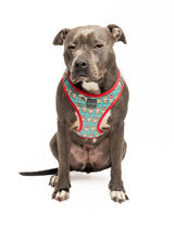 Disco Deers - Christmas Step In Harness by FuzzYard