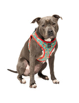 Cookies For Santa - Christmas Step In Harness by FuzzYard