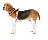 Ink'd Up - Step In Harness by FuzzYard