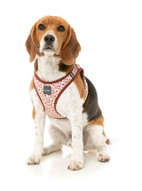 Daily Grind - Step In Harness by FuzzYard