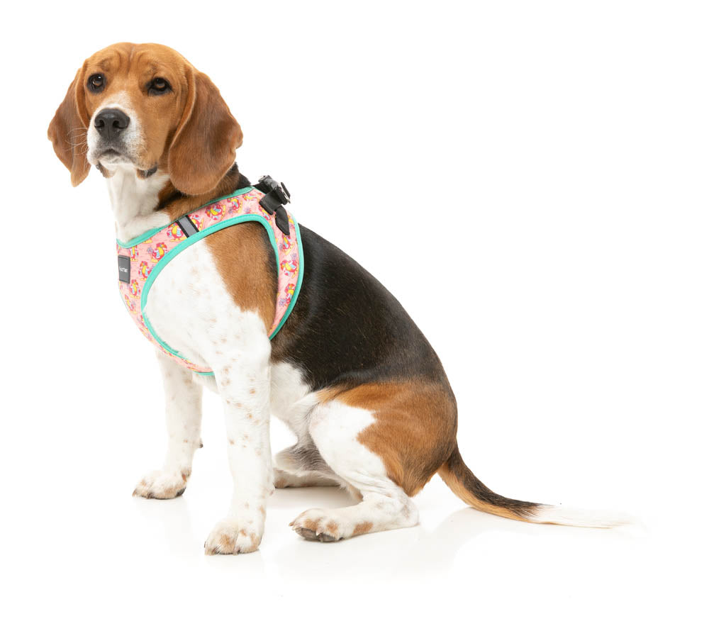 Two-Cans - Step In Harness by FuzzYard