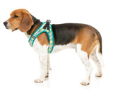 Bananarama - Step In Harness by FuzzYard