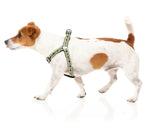 Strap Harness - Khaki by FY Active