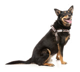 Strap Harness - Peach by FY Active