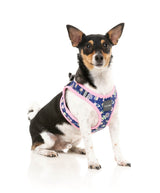 Pluto Pup - Step In Harness by FuzzYard