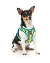 Sk8ter Gator - Step In Harness by FuzzYard