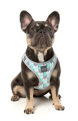 Carioca - Step In Harness by FuzzYard