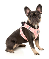 Pink Lemonade - Step In Harness by FuzzYard