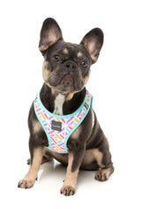 Bubblegum Burst - Step In Harness by FuzzYard