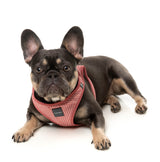 Thornbury - Brick Red - Step In Harness by FuzzYard