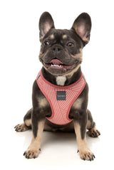 Thornbury - Brick Red - Step In Harness by FuzzYard