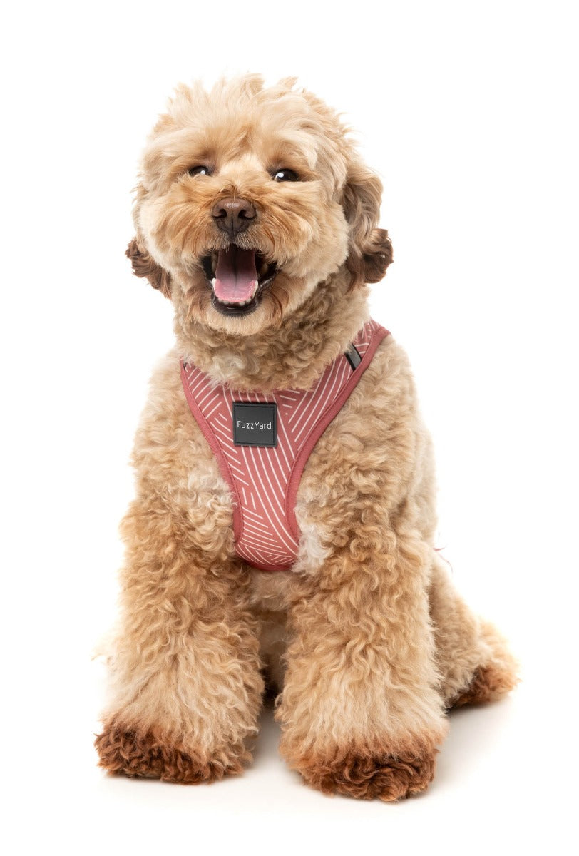 Thornbury - Brick Red - Step In Harness by FuzzYard