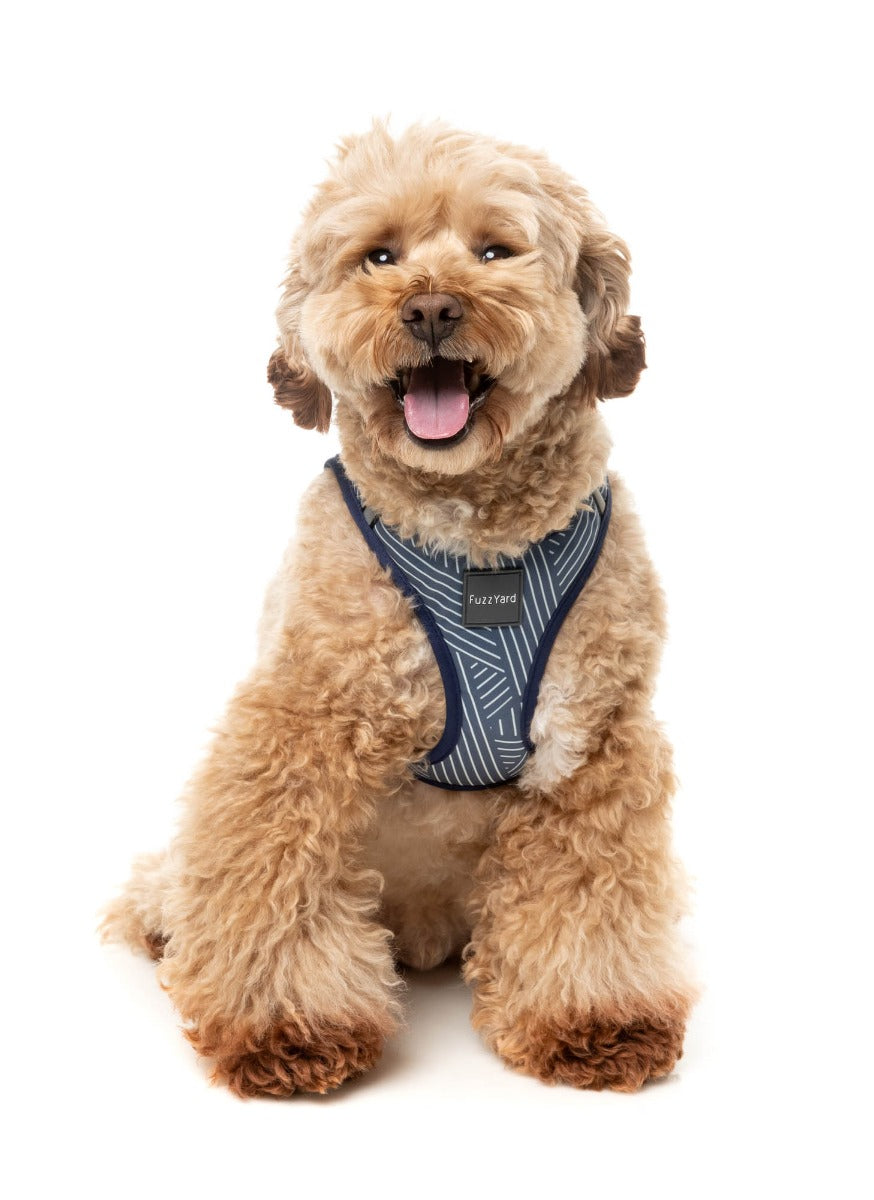 Thornbury - Aegean Blue - Step In Harness by FuzzYard